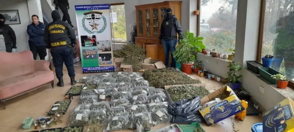 Secuestraron 50 kilos de marihuana procesada y 30 plantas 