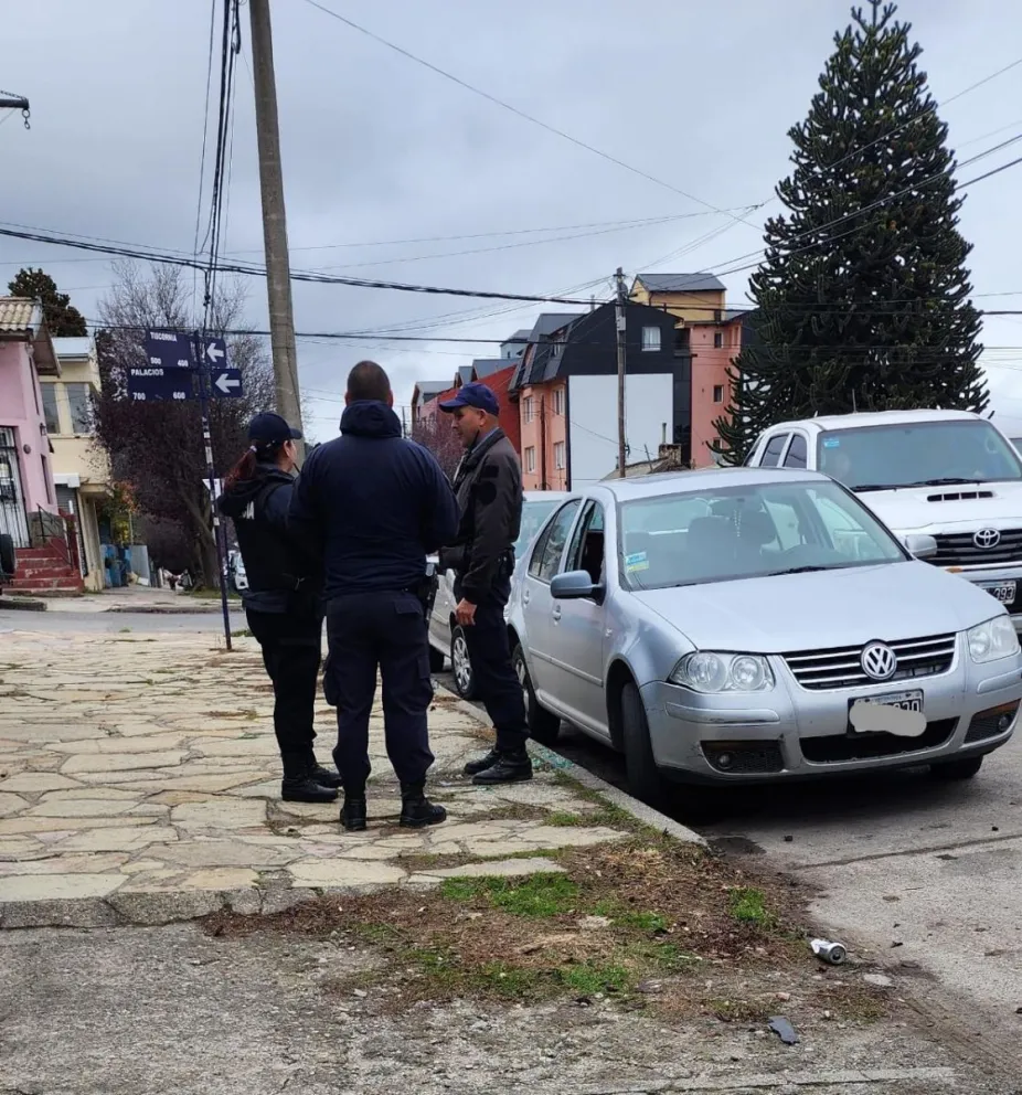Delincuentes robaron elementos del interior de un auto estacionado en Tiscornia y Palacios 