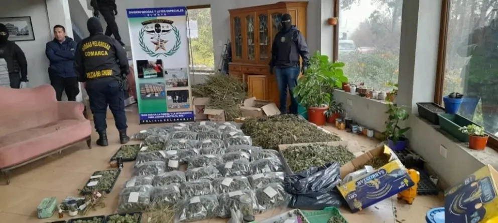 Secuestraron 50 kilos de marihuana en un importante operativo