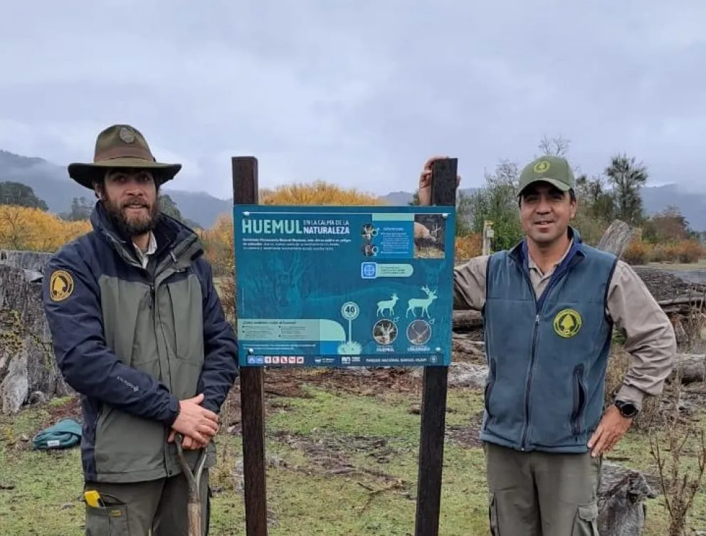 Realizan trabajos para garantizar la protección del huemul en la zona de El Manso