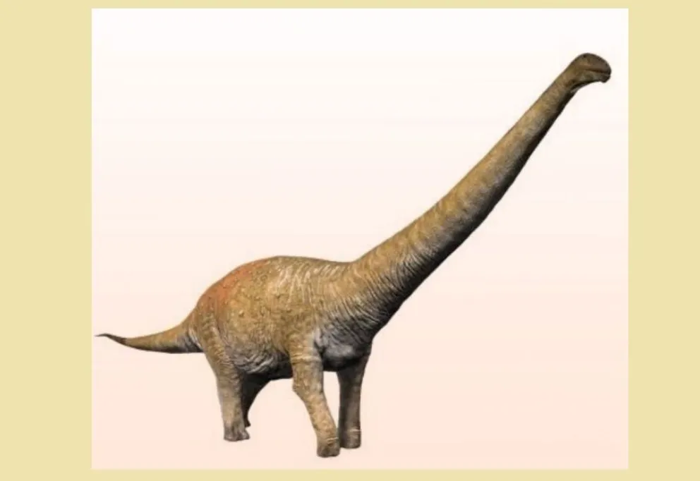 El nuevo dino gigante tiene nombre: “Chucarosaurus”, y fue el más grande de Río Negro
