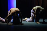 Baco, Punto Cero, El Brote y Zaraza representarán a Bariloche en Fiesta del Teatro Rionegrino