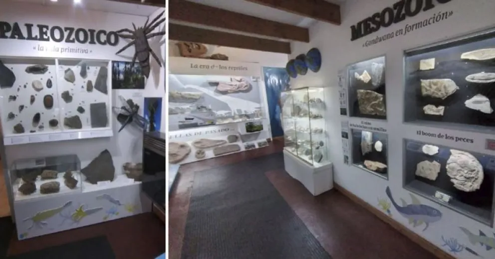El Museo Paleontológico invita a la comunidad a recorrerlo