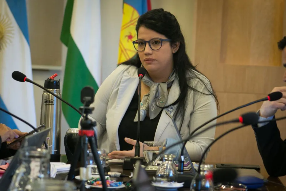 Emprotur: concejales apoyan su funcionamiento, pero cuestionan a directores