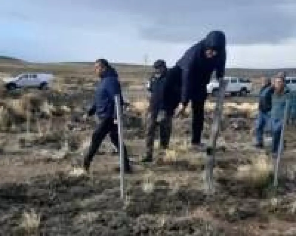 Juzgan a once integrantes de una banda que robaba animales en campos de Benetton