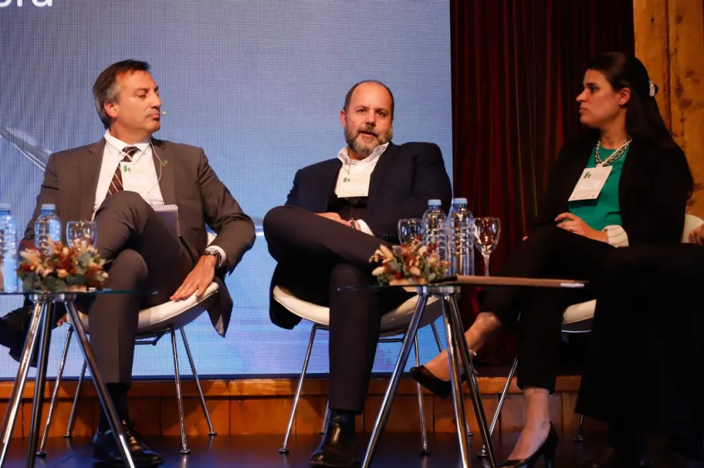 Transición energética: los desafíos que afronta Argentina de cara al 2030