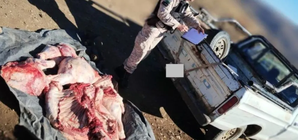 Lo sorprendieron en La Paloma con una vaca faenada y transportada irregularmente