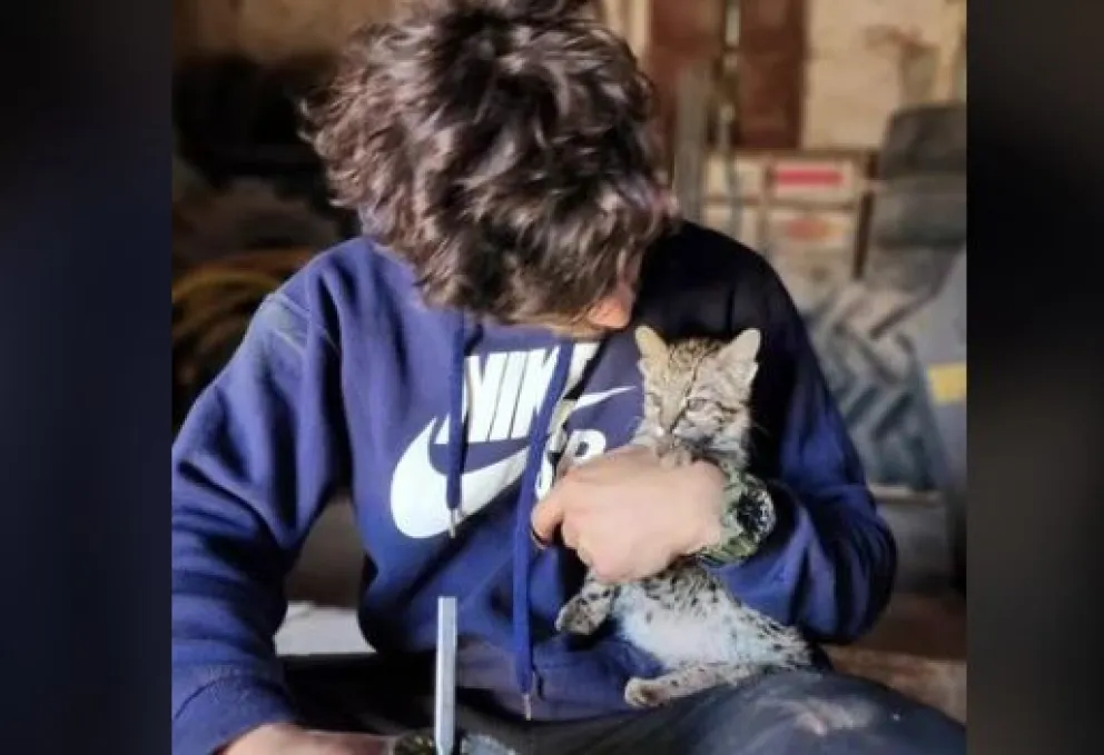 Allanamiento en Córdoba: Rescatan a un gato montés que exhibían en redes sociales como mascota
