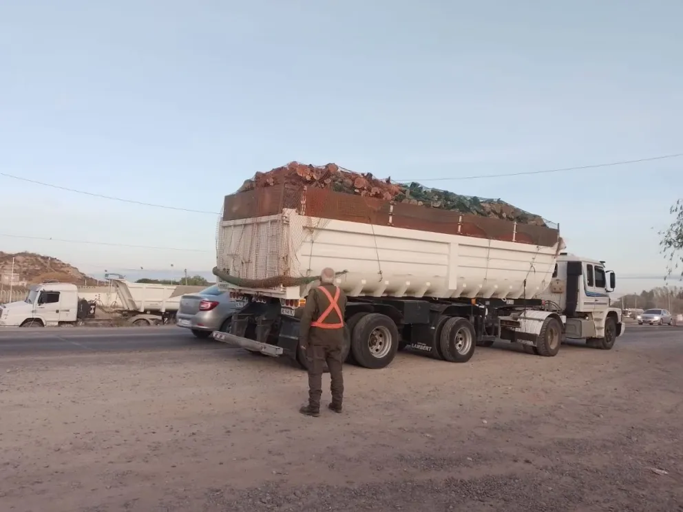 Secuestran cerca de 106 toneladas de productos forestales transportados sin autorización