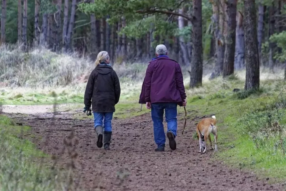 Invitan al taller “relatos sobre perros y otros animales”