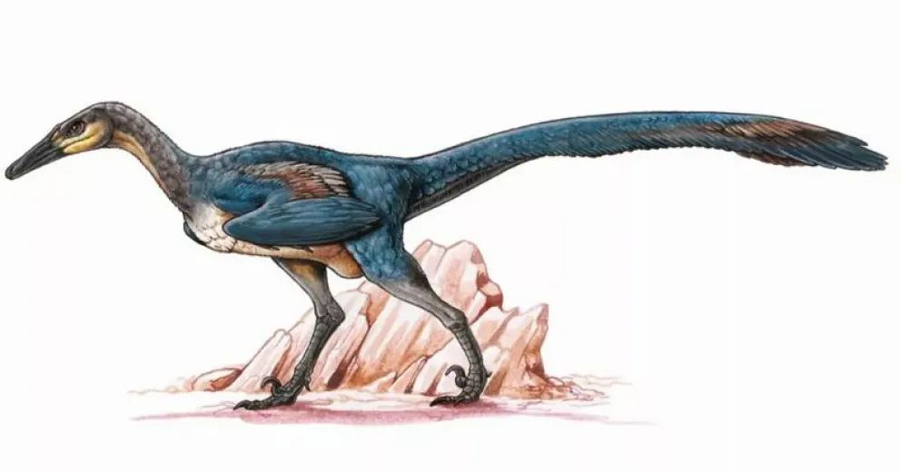 Un dinosaurio rionegrino se irá de viaje de estudios a Japón