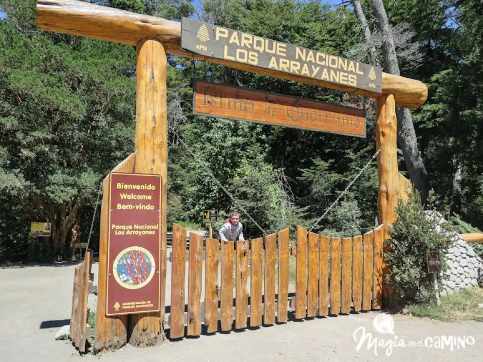 Por precaución permanecerá cerrado el Bosque de Arrayanes en Quetrihué 