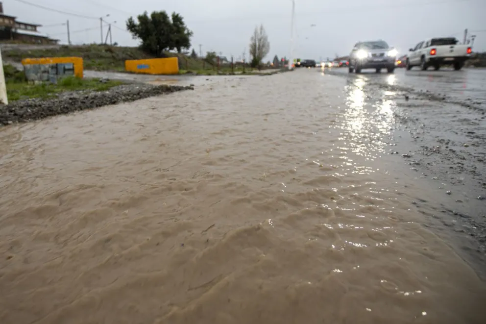Caída de árboles, calles anegadas y viviendas inundadas