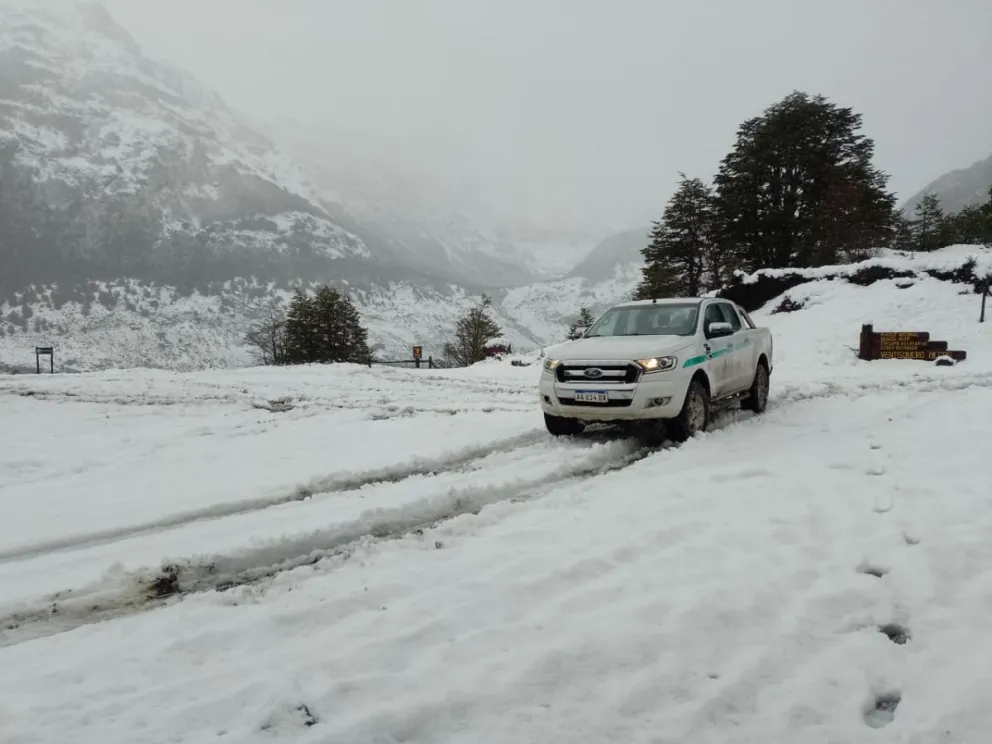 Aún no ha caído la primera nevada fuerte sobre la región. Foto ilustrativa en la zona de Tronador.