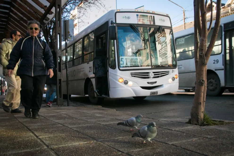 Ya rige el aumento del boleto de colectivo y estas son las nuevas tarifas 