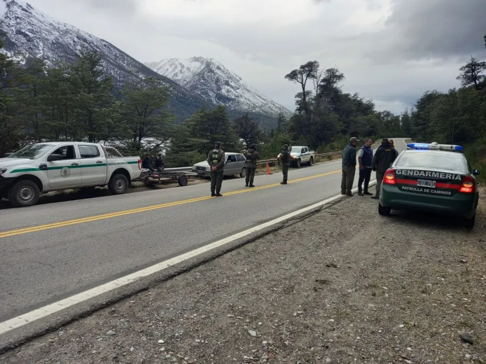 En tres procedimientos detectaron grandes cantidades de leña trasladadas de forma ilegal 