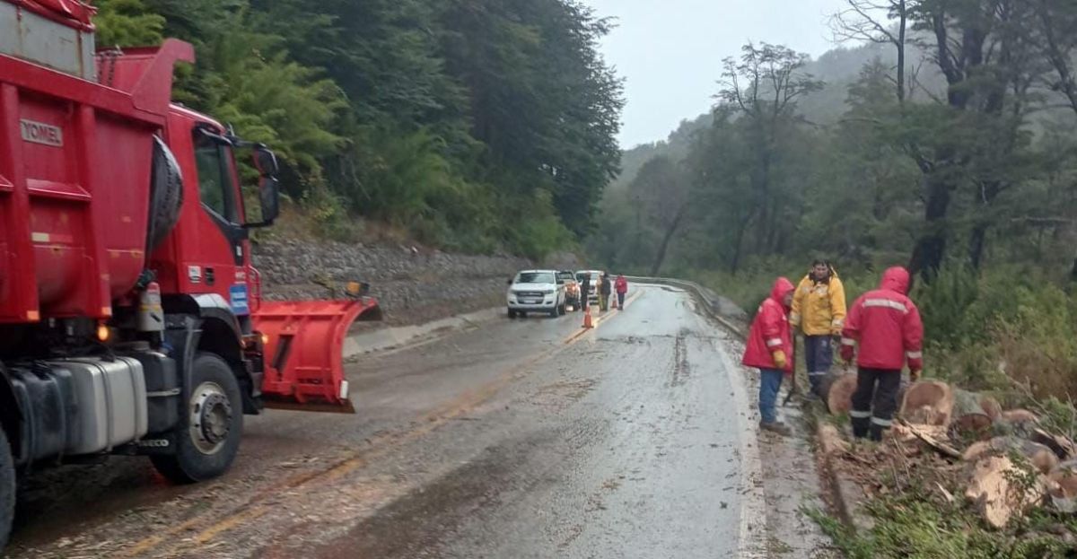 Pudieron retirar el árbol caído y la Ruta 7 Lagos se encuentra transitable 