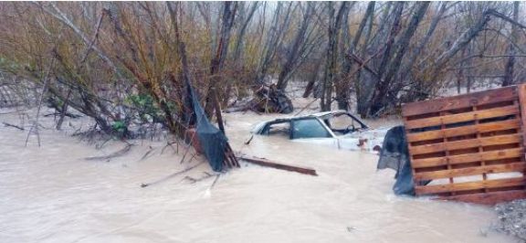 El temporal de lluvia generó anegamientos, familias evacuadas y caída de árboles