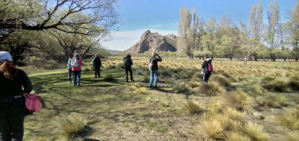 Invitan a observación de aves en la estepa