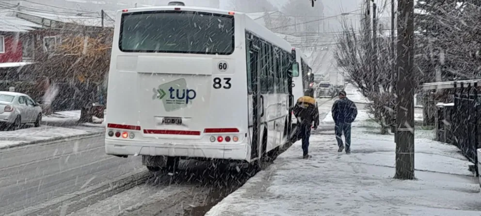"Por dónde va el colectivo" fue fundamental durante el temporal