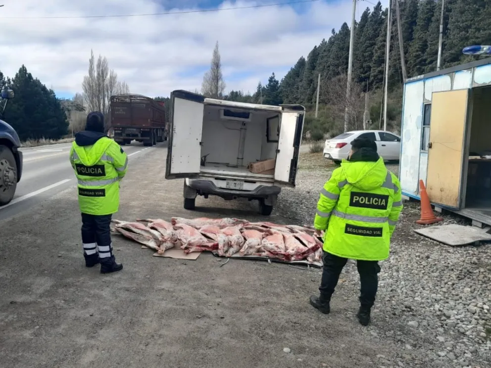Secuestraron doce capones en el ingreso a Bariloche