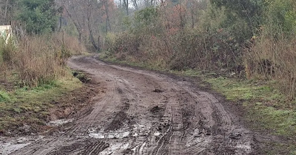Pasearán un chancho a la parrilla para enripiar una calle 