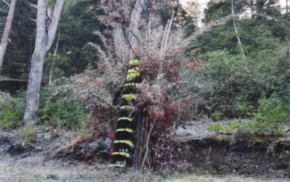 Una foto de la talla que quienes conforman la asociación vecinal Lago Mascardi desean remover (imagen de archivo)