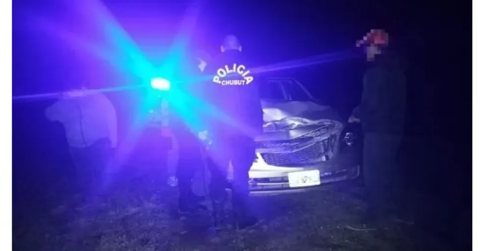 Una familia que circulaba por la Ruta 40 chocó contra un animal