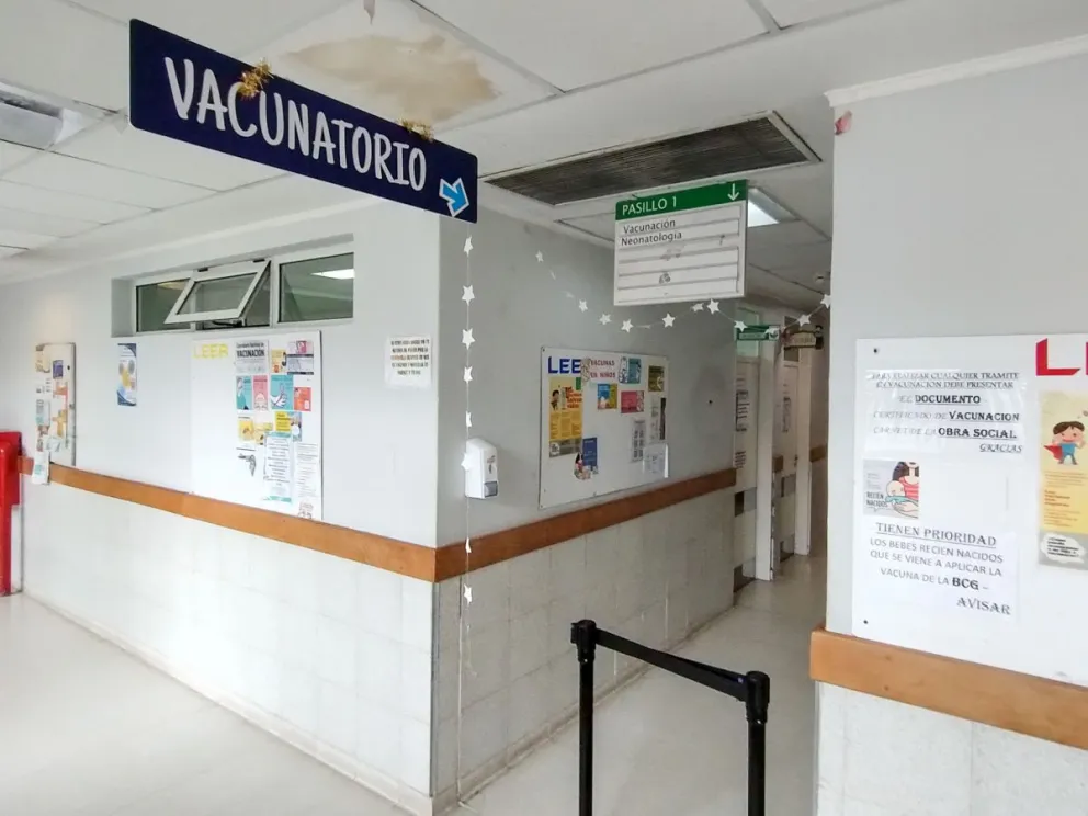 La campaña antigripal comienza y piden a la población completar los esquemas / Foto Facu Pardo 