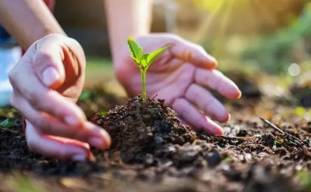 Fuerte advertencia: Argentina comenzará a generar deuda ambiental desde el próximo sábado