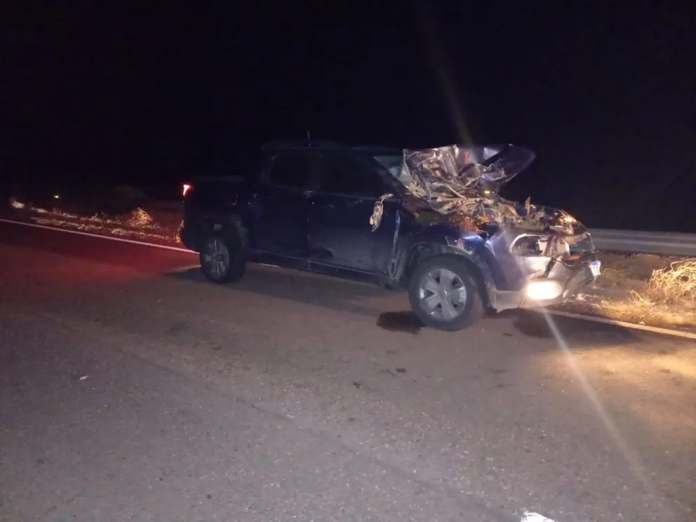 Familia de Bariloche embistió a un caballo en una ruta de Chubut