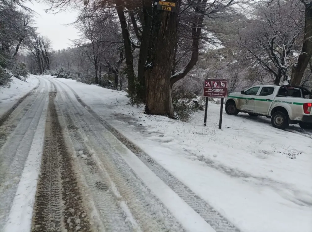 Piden precaución ante alerta amarillo por intensas nevadas en la zona